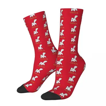 Милые носки Oberlin White Squirrel, Высококачественные чулки Harajuku, всесезонные носки, Аксессуары для подарков унисекс